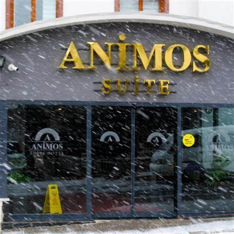 Animos Butik Otel Ankara Exteriör bild